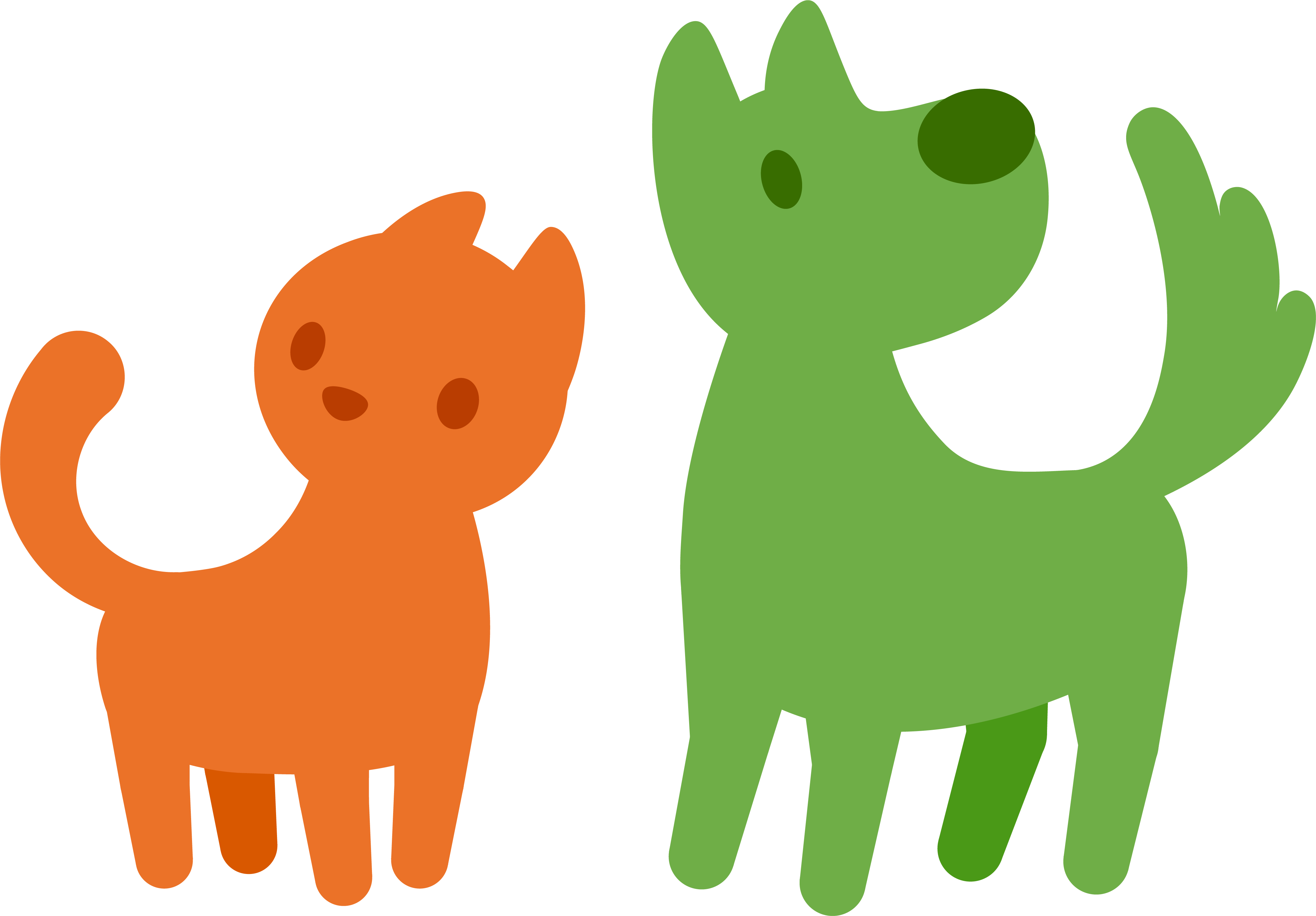 Petgamma hond en kat