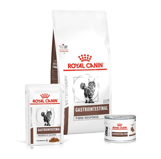 royal_canin.categories.category.vet.gastrointestinal.title