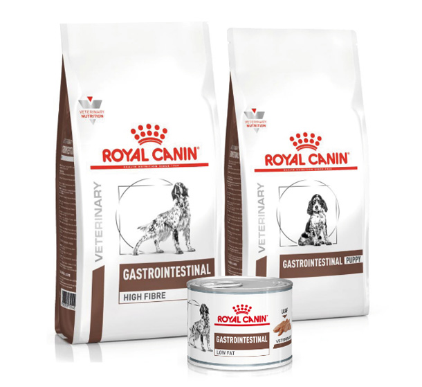 royal_canin.categories.category.vet.gastrointestinal.title