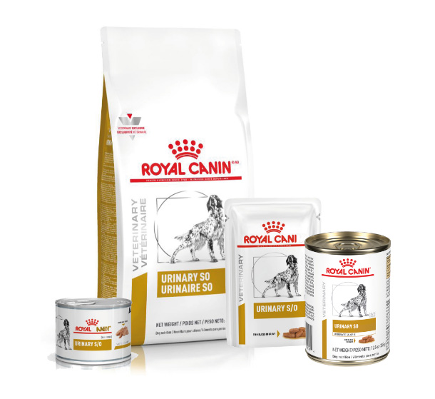 royal_canin.categories.category.vet.urinary.title